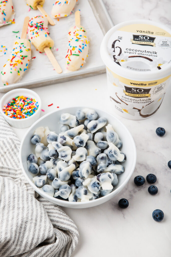 Bowl of frozen yogurt blueberries