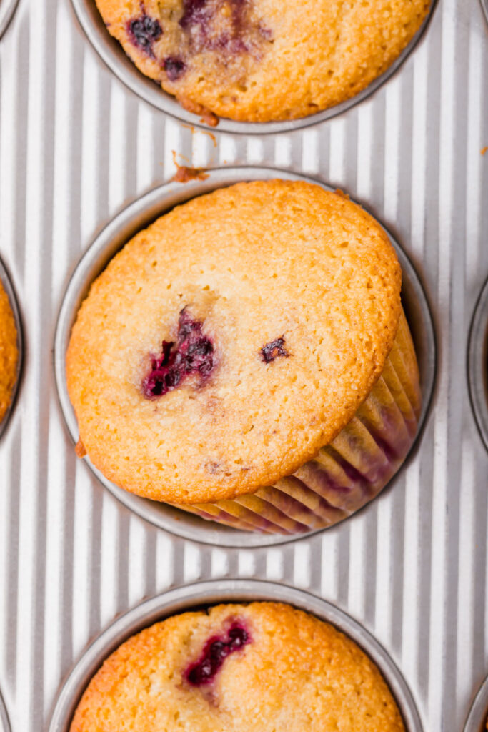 close up - Almond flour blackberry muffins