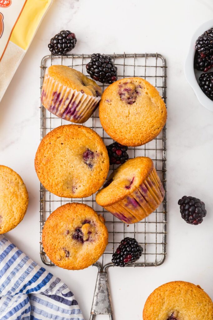 Almond flour blackberry muffins on a tray
