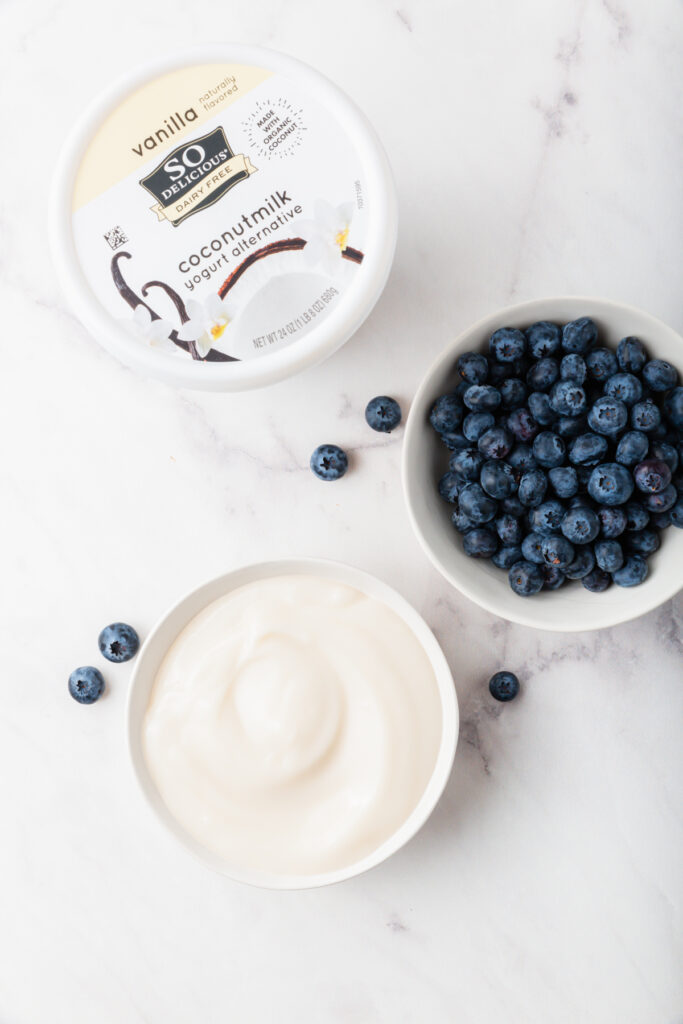 yogurt and blueberries needed for frozen yogurt blueberries
