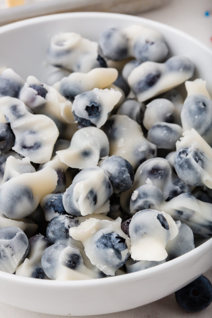 frozen yogurt blueberries in a bowl