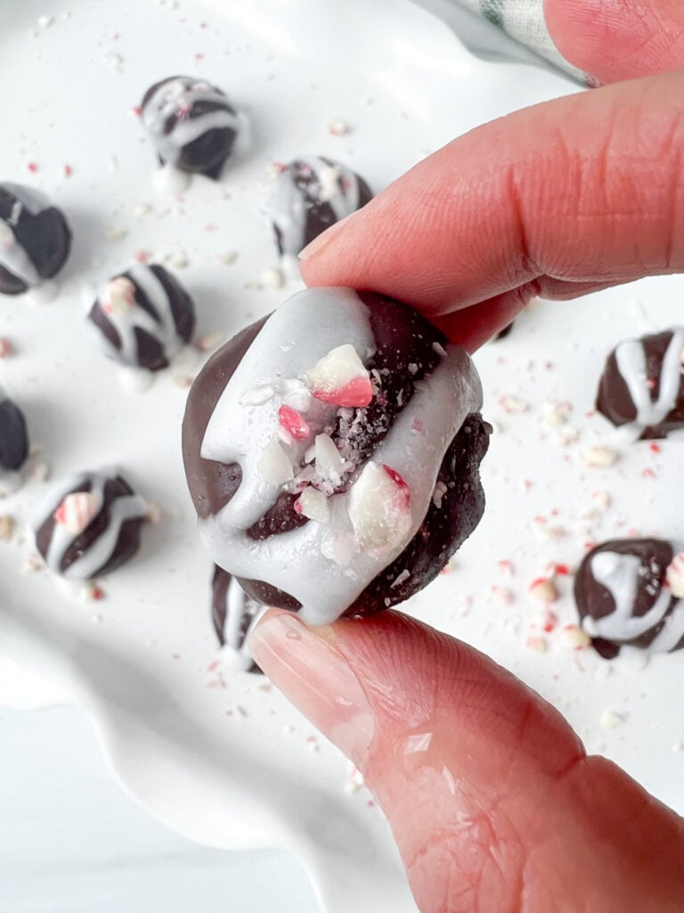 holding a gluten-free rum ball with chocolate coating, white icing, and crushed peppermint topping