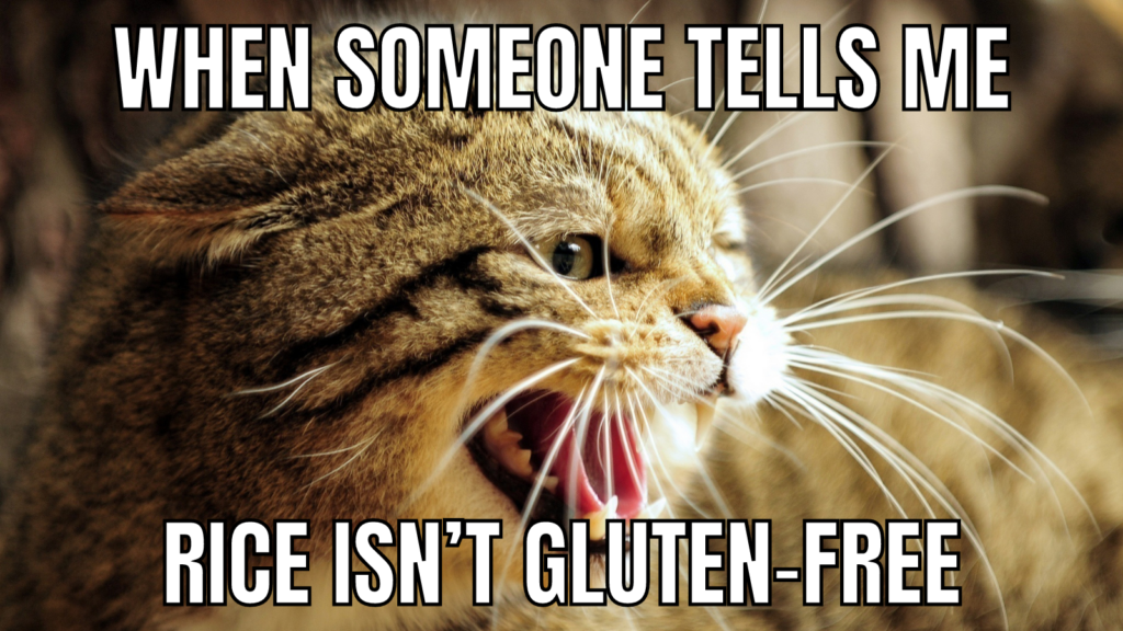 when someone tells me rice isn't gluten-free meme